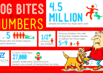 Colorado Dog Bite Lawyers  Zinda Law Group