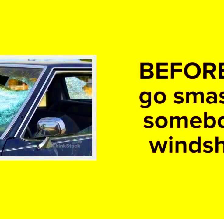 5 Things to Know About Colorados New Windshield Law  YouTube