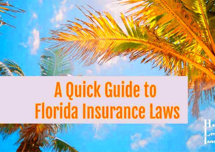 Your Quick Guide to Florida Insurance Laws  Harry Levine Insurance