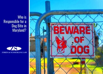 Maryland dog bite laws Who is responsible