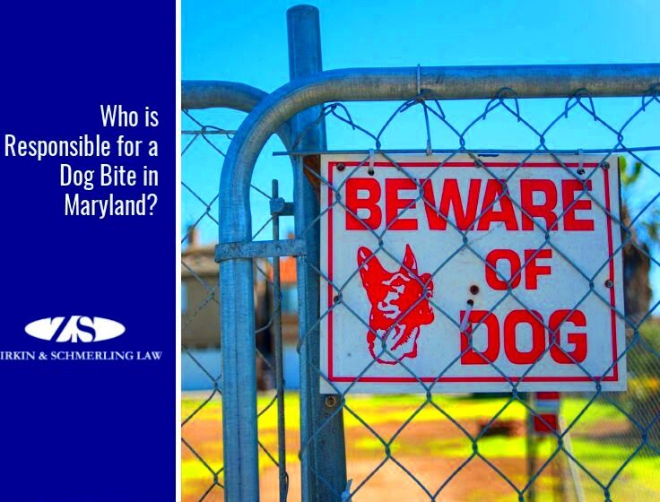 Maryland dog bite laws Who is responsible