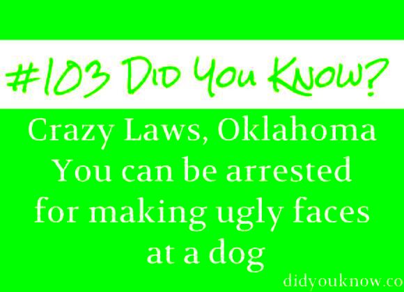 Crazy Laws Oklahoma Did You Know  Funny facts Wtf fun facts