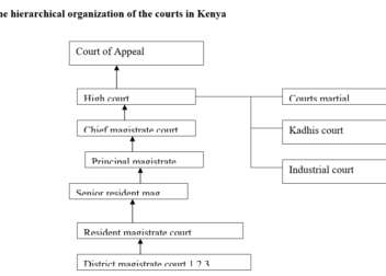 INTRODUCTION TO LAW  KNEC  TVET CDACC STUDY MATERIALS REVISION KITS