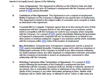 Arizona NonCompete  NonSolicitation Agreement  PDF  Word