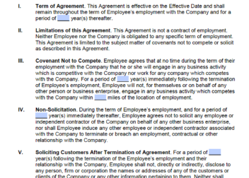 Virginia NonCompete  NonSolicitation Agreement  PDF  Word