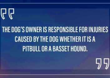 Maryland Dog Bite Laws  Zirkin  Schmerling Law