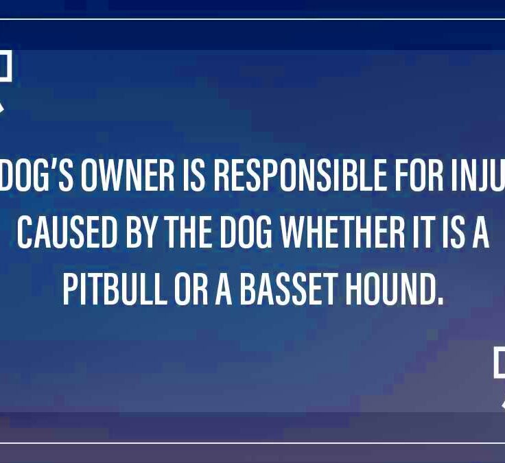 Maryland Dog Bite Laws  Zirkin  Schmerling Law