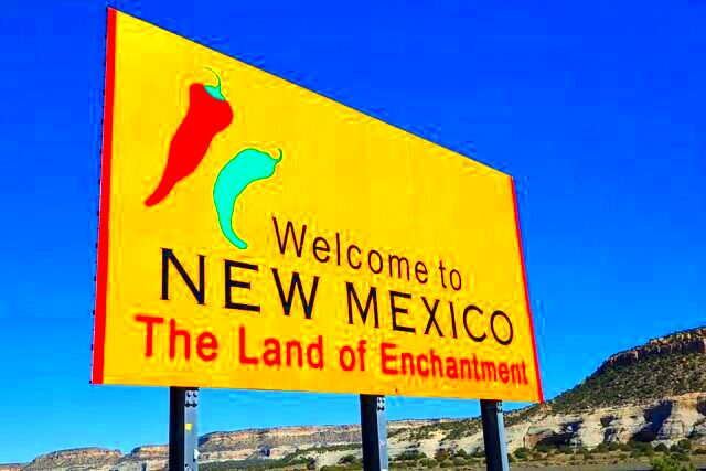 New Mexico Business Requirements You Need to Know  Scholarly Open