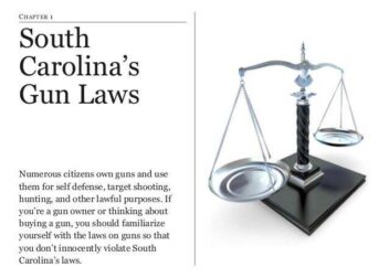 Gun Laws in South Carolina  Piecing It All Together