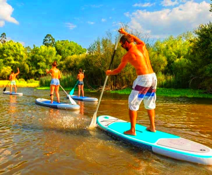 Paddleboarding in Michigan Discover SUP in Southwest Michigan  My