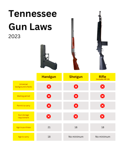 Tennessee gun laws What you need to know  The Vanderbilt Hustler