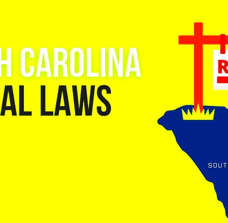 South Carolina Rental Laws EXPLAINED  YouTube