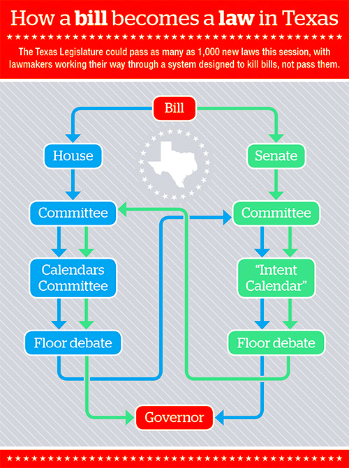 Texas Legislation 101  Texas Humane Network