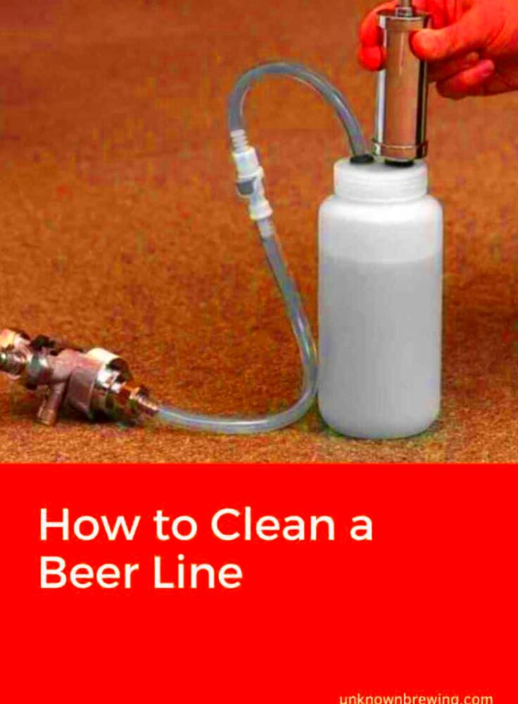 How to Clean a Beer Line StepbyStep Guide