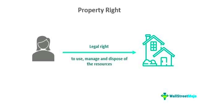 Property Rights  What Is It Types Examples Characteristics