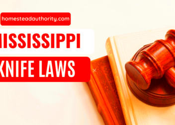 Navigating Mississippis Knife Laws What You Need to Know  Homestead