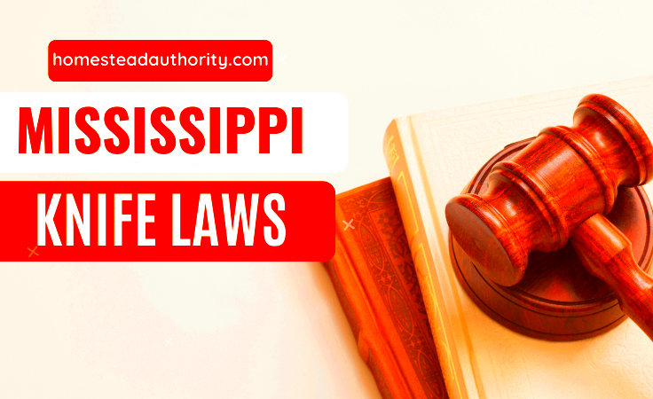 Navigating Mississippis Knife Laws What You Need to Know  Homestead