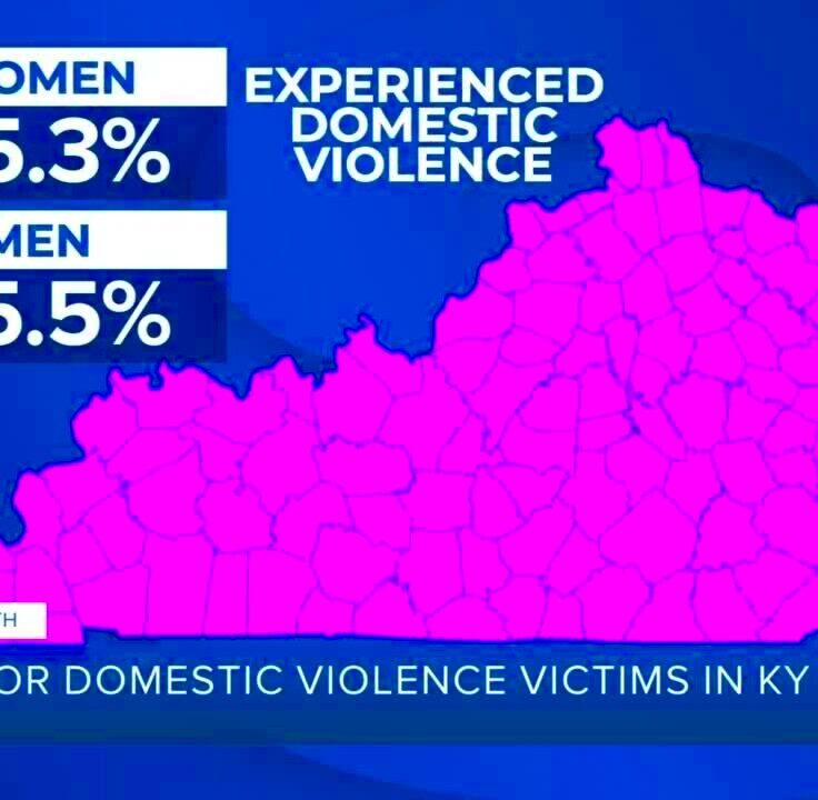 Hope for domestic violence victims in Kentucky  YouTube