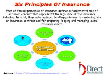 Six Principles of Insurance