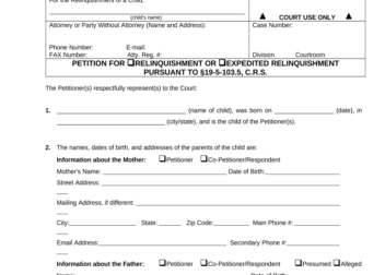 Colorado child custody laws for unmarried parents Fill out  sign