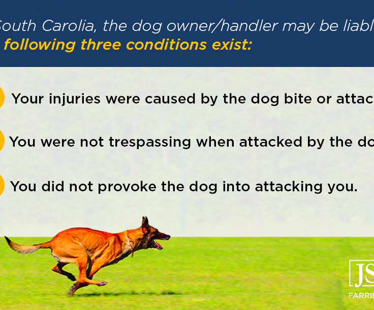 Understanding Dog Bite Laws A Comprehensive Guide