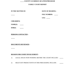 minnesota family court Doc Template  pdfFiller