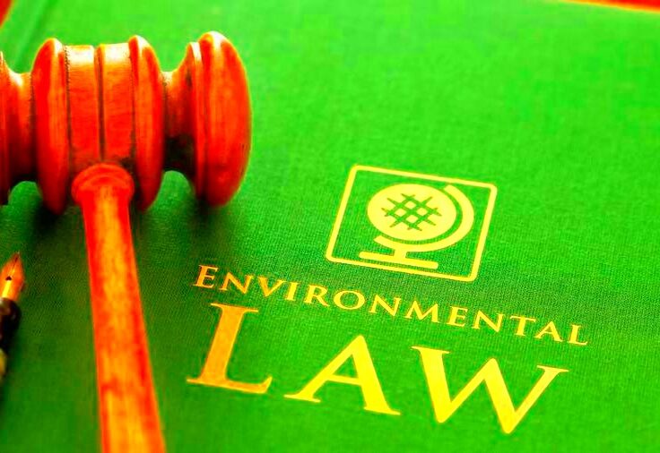 What Is Environmental Law Everything You Need To Know  Forbes Advisor