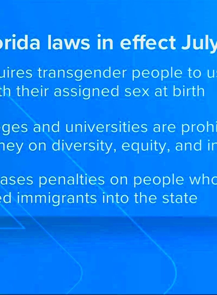 Over 200 new Florida laws took effect July 1  firstcoastnewscom