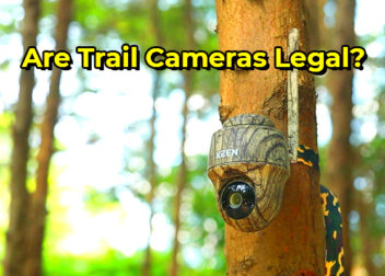 Are Trail Cameras Legal How to Set Them up Legally