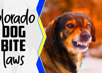 Colorado Dog Bite Laws  Explain In Detail