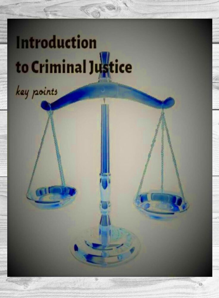 Introduction to Criminal Justice Key Points  Kindle edition by yu