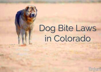 Colorado Dog Bite Law Criminal Charges Lawyer Mack Babcock