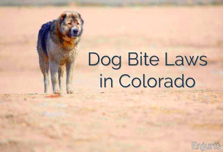 Colorado Dog Bite Law Criminal Charges Lawyer Mack Babcock