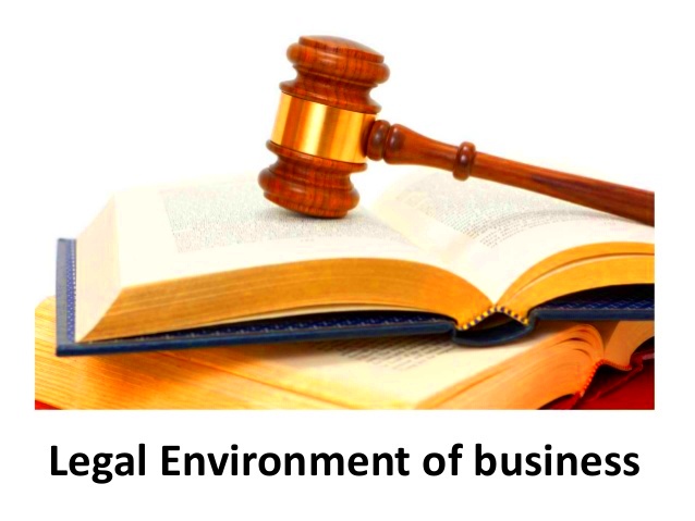 THE LEGAL ENVIRONMENT OF BUSINESS  The Lawyers  Jurists