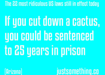 22 Weirdest And Dumbest US Laws That Are Still In Effect In 2020