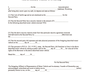 Affidavit Of Repossession Form Tennessee  Printable Form 2022