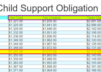 Child Support Laws Georgia  The Hive Law