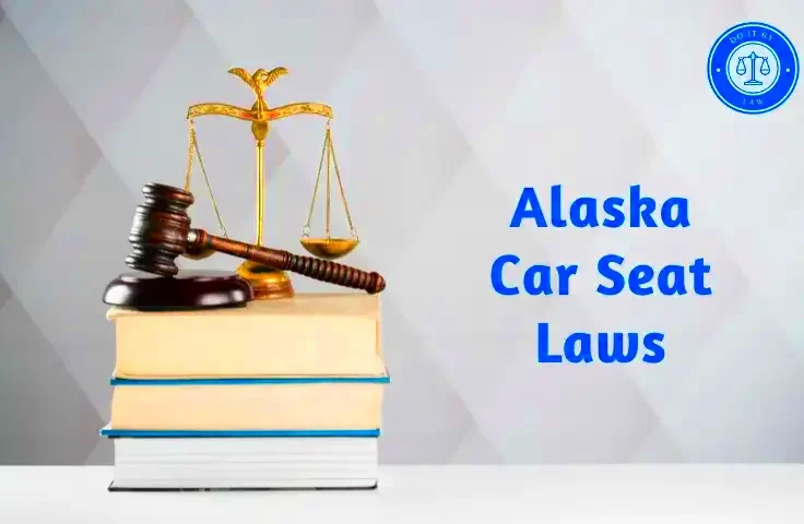 Alaska Car Seat Laws What You Need to Know  USA State Laws