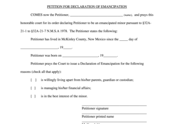 New mexico emancipation forms Fill out  sign online  DocHub