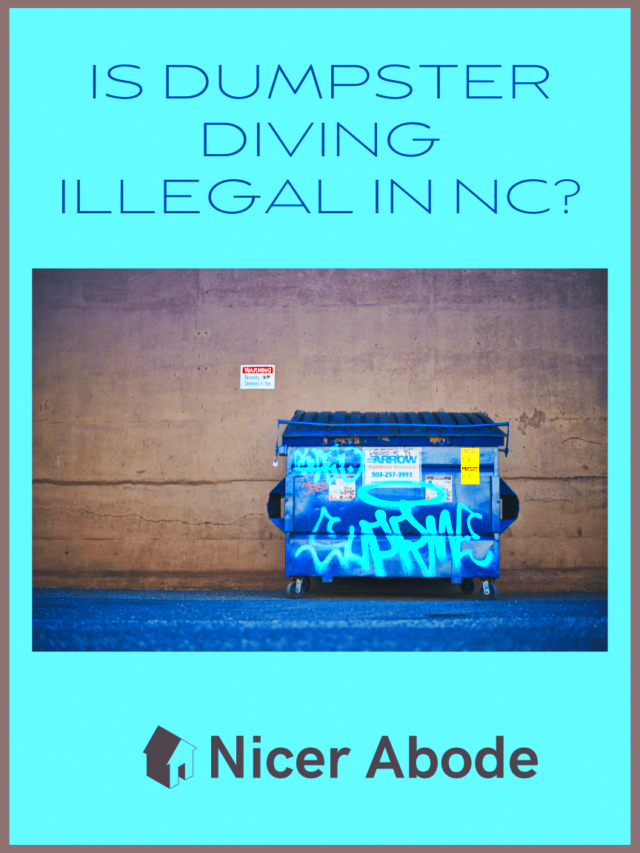 Is Dumpster Diving Illegal in NC Lets Find Out