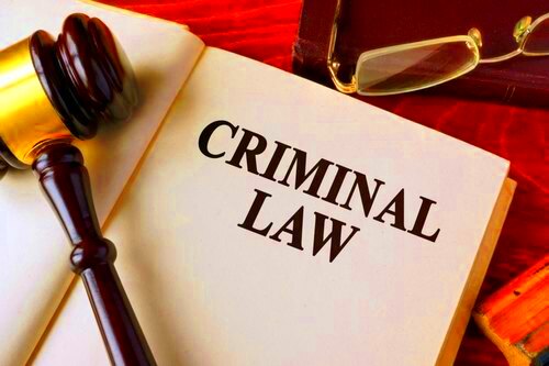 All you need to know about Criminal Law An Insight