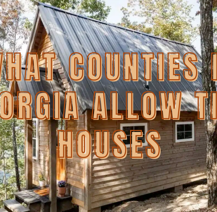 Exploring Georgia Tiny House Laws and Regulations